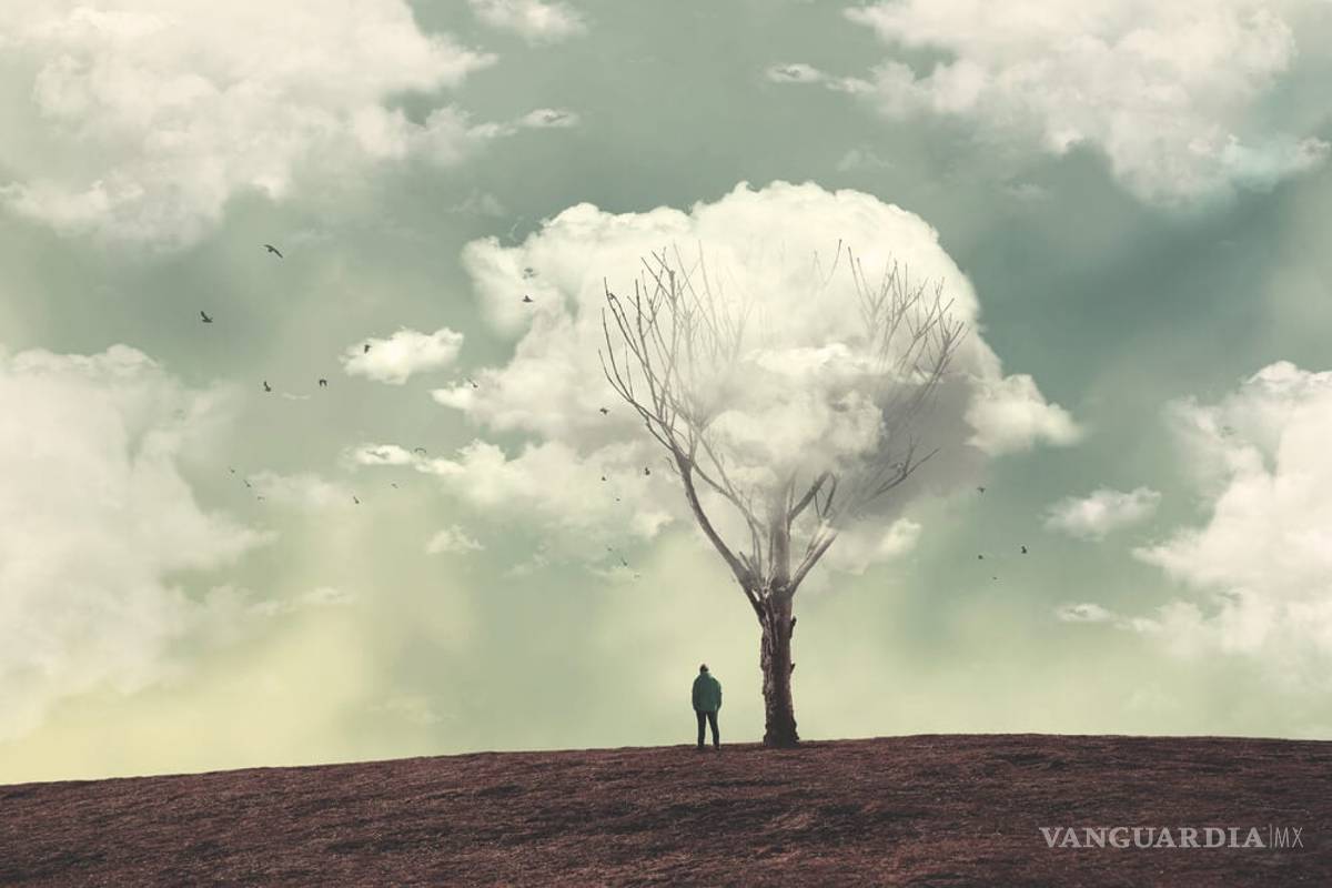 $!La soledad aumenta el riesgo de padecer de demencia