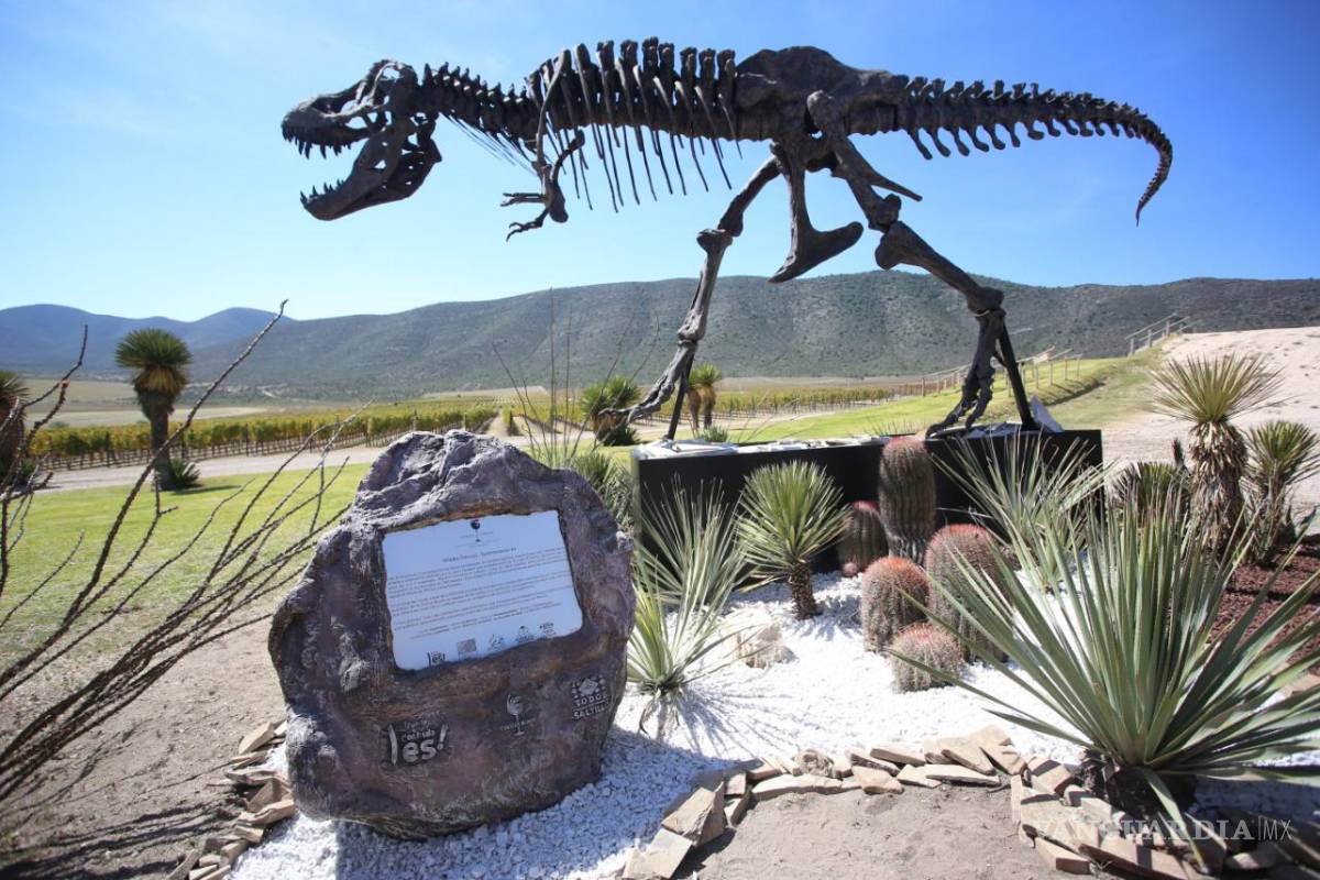 Con la Ruta Vinos y Dinos brilla el turismo de Saltillo