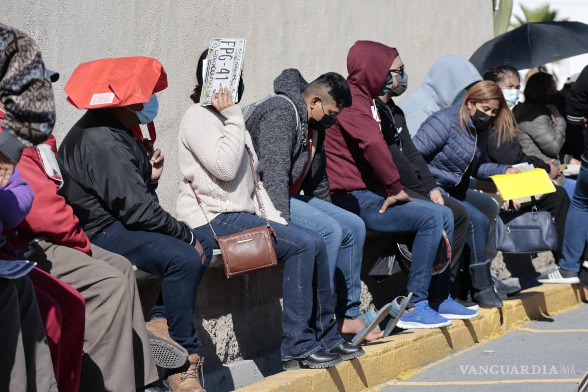 Desorganización en módulos de placas en Saltillo; pide la AFG seguir indicaciones para evitar caos