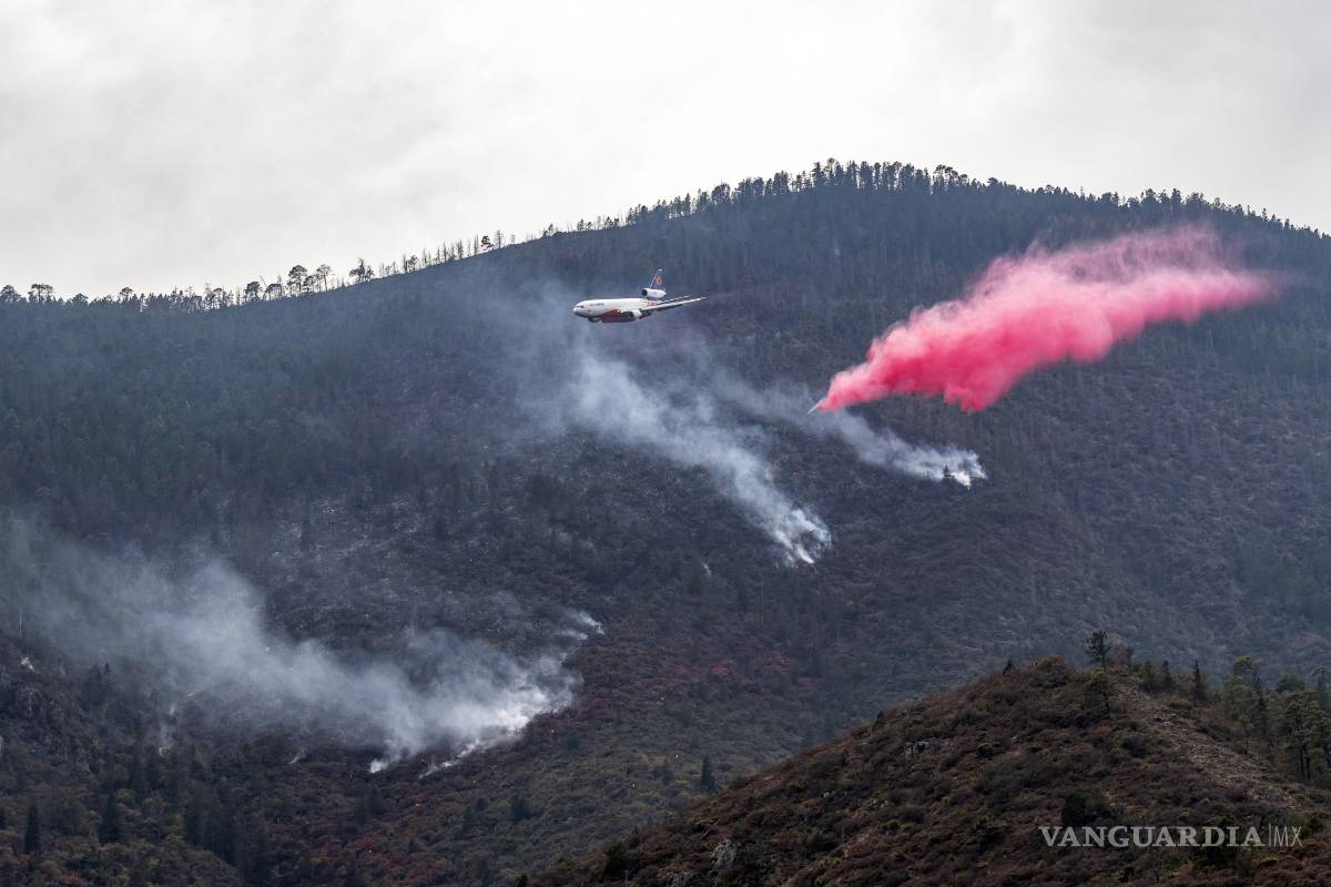 $!Incendio en la Sierra de Arteaga controlado al 80 por ciento por descargas del DC10
