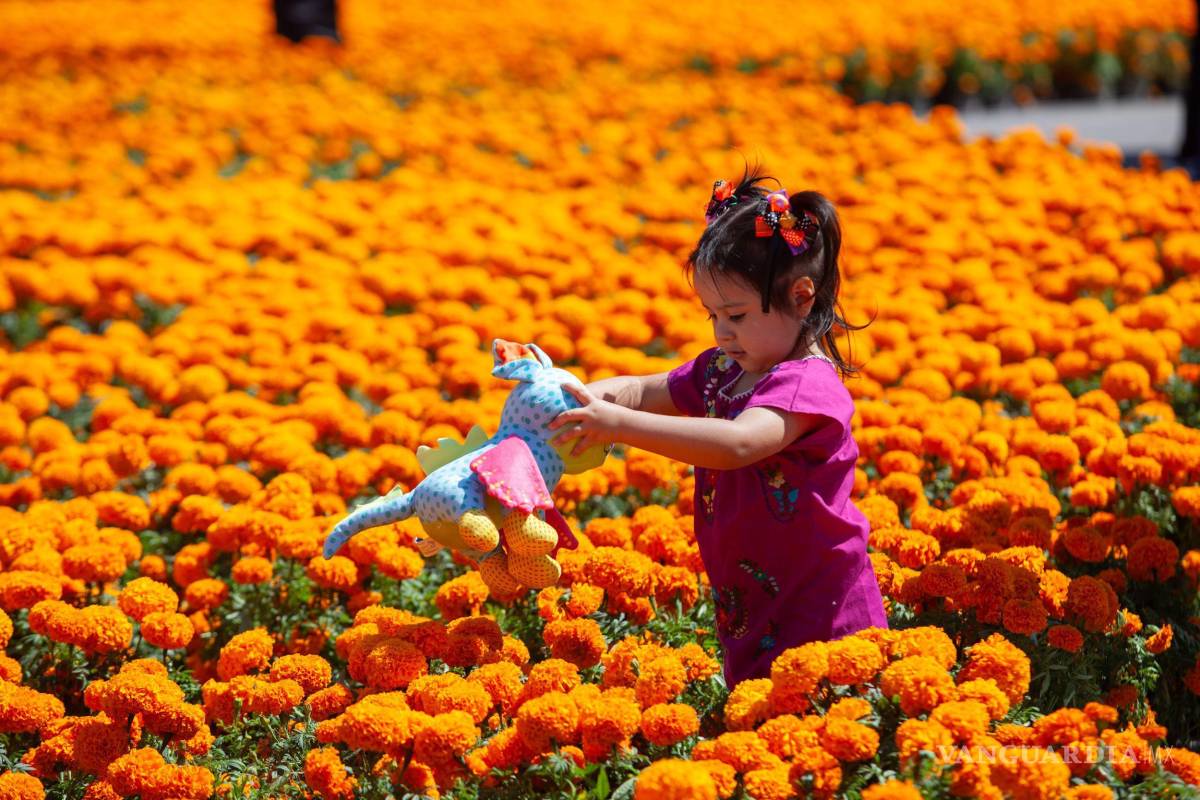 SEP: ¿Habrá clases el lunes 3 de noviembre? Esto debes saber sobre el puente de Día de Muertos