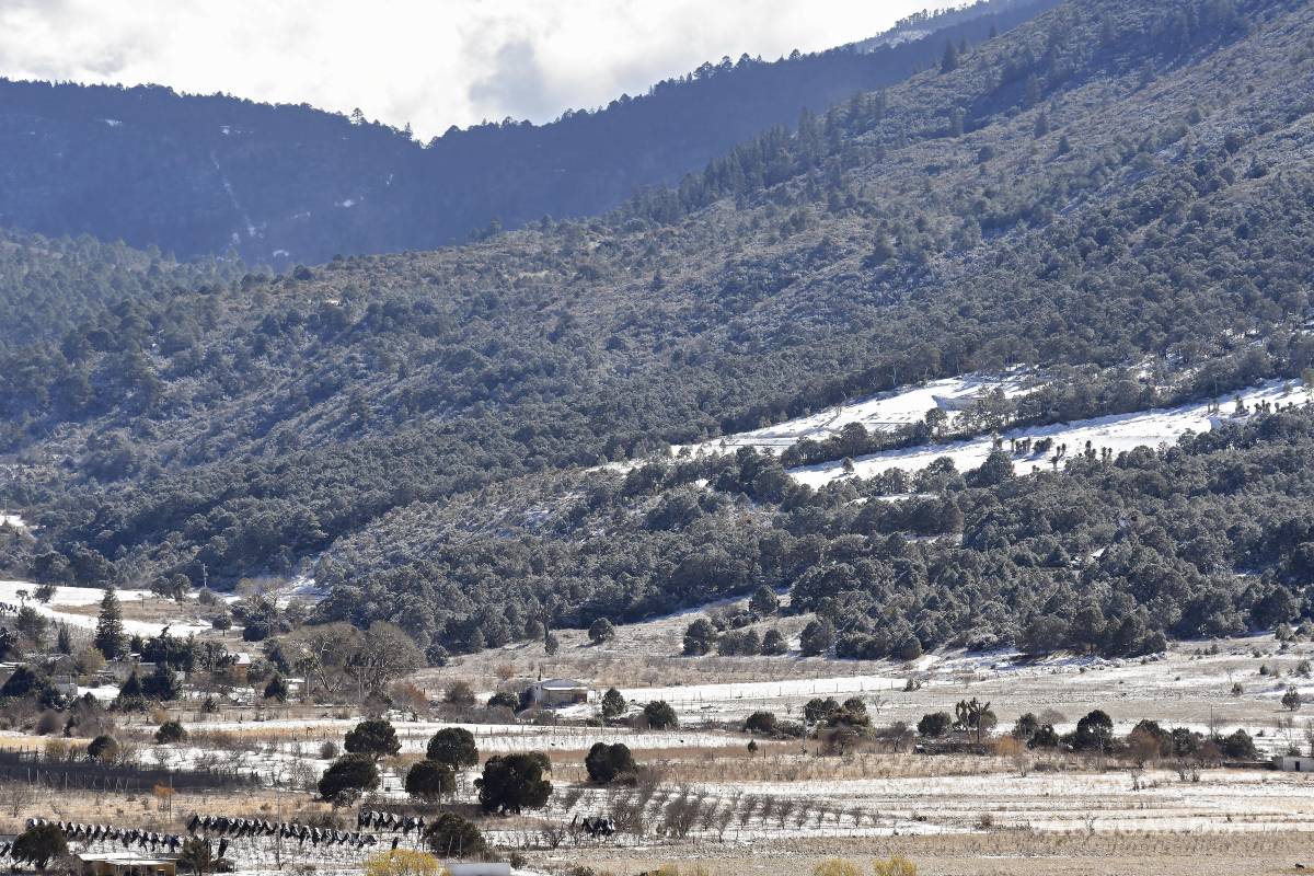 Arteaga y el resto del mundo