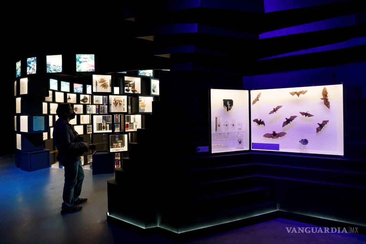 UNAM inaugura su Pabellón de la Biodiversidad con el apoyo de la Fundación Slim