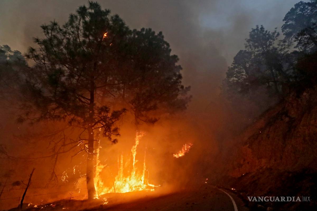 Arrasa fuego con 2 mil hectáreas de flora y zonas de cabañas en Arteaga