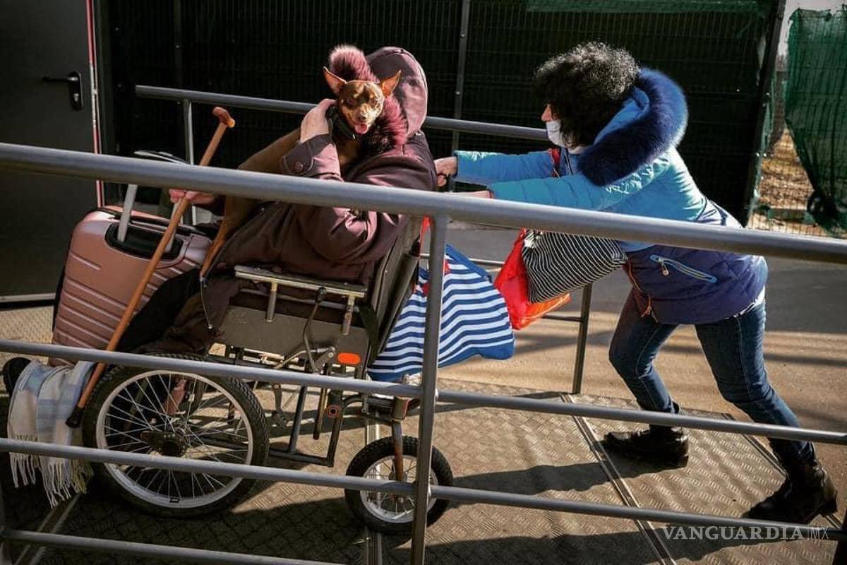 $!Perros y gatos de diversas razas acompañan a sus dueños durante la huída.