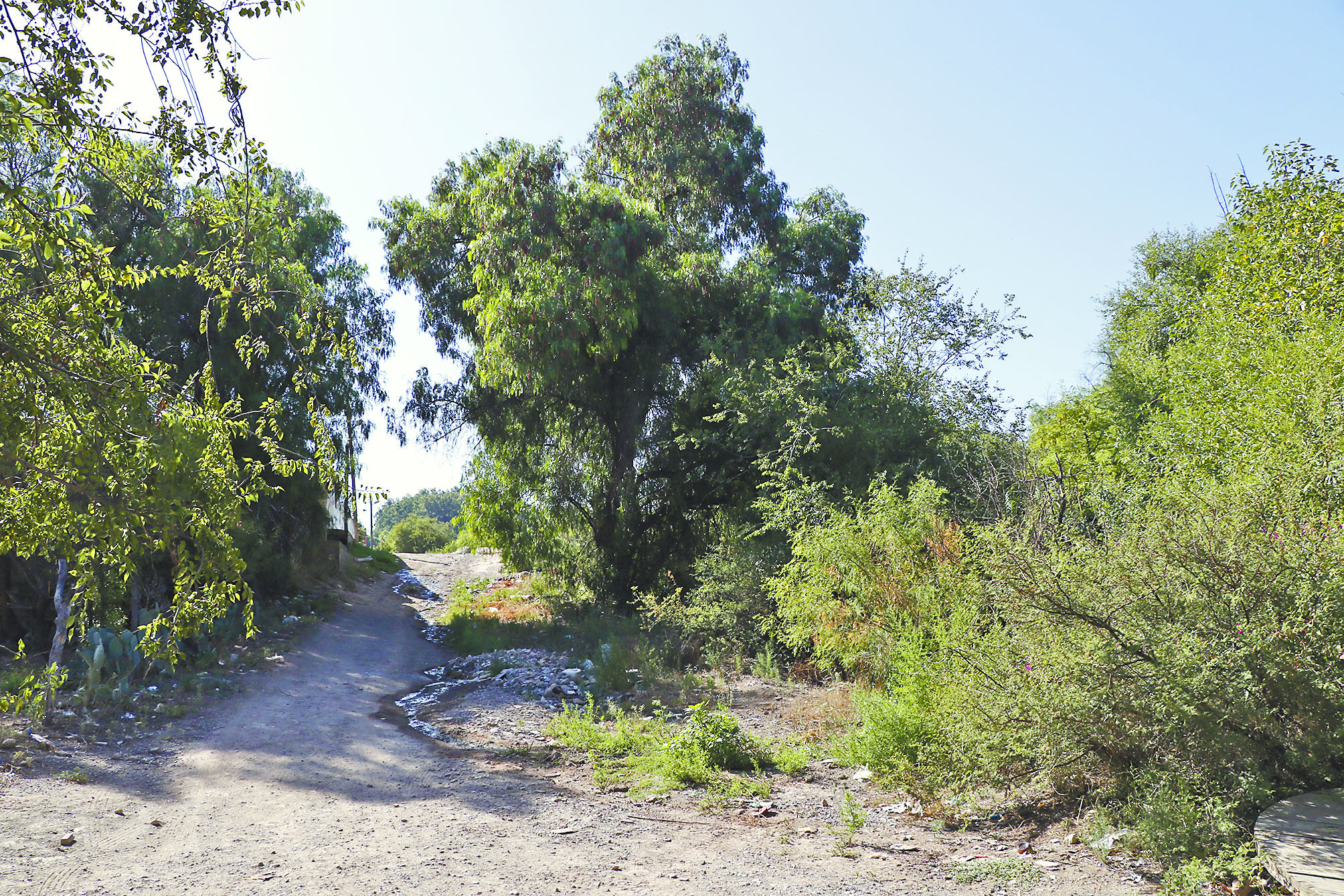 $!Policías iban por narcomenudistas cuando matan a migrante: Fiscalía de Coahuila investiga a seis elementos