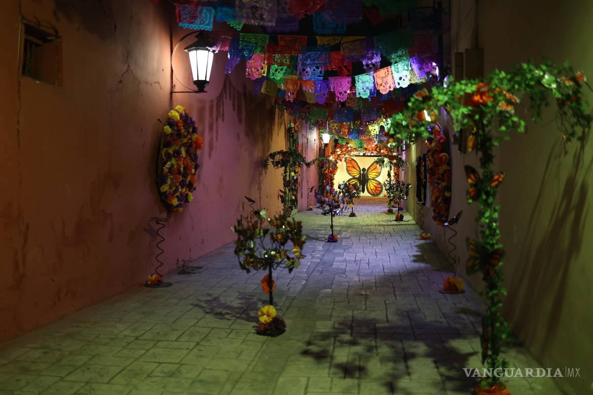 $!Inauguran la sexta edición del festival “Paso de la Mariposa Monarca” en el Centro Histórico de Saltillo