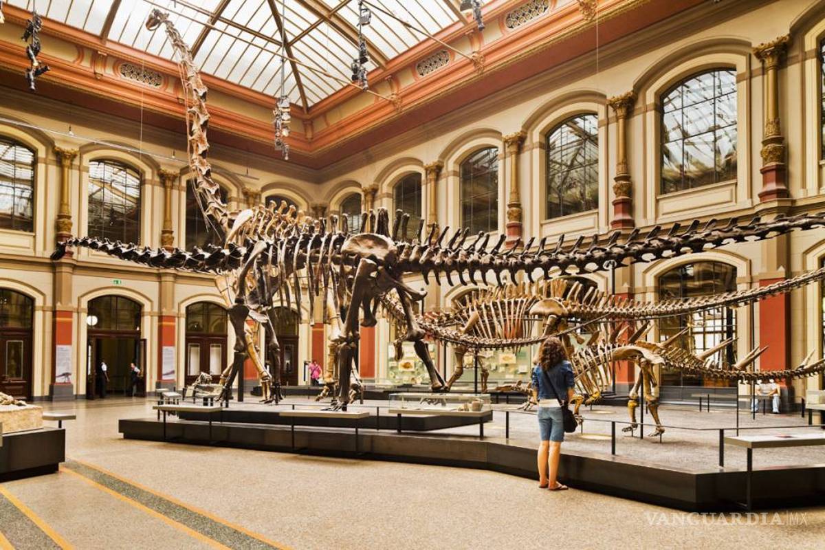 Museo de Historia Natural de Berlín rastrea el ecosistema del Spinosaurus