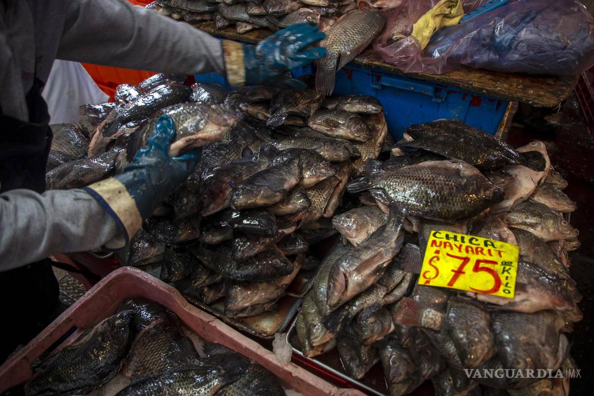 $!Vendedores de pescado ofrecen sus productos en el mercado de pescados y mariscos La Viga, en Ciudad de México.