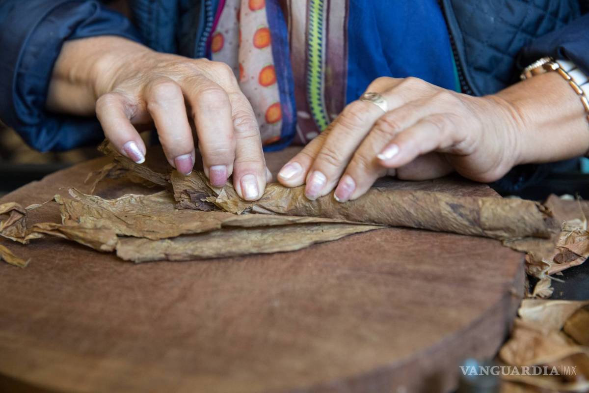 $!Torcedoras, mimo y pasión por el cigarro