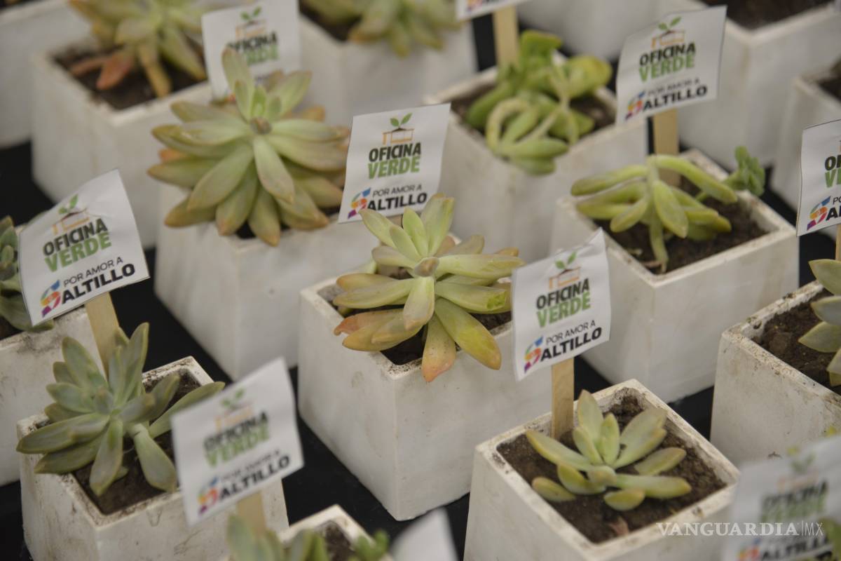 $!Además del programa Oficina Verde, el Ayuntamiento impulsa jornadas de reforestación para mejorar los espacios públicos y fomentar la participación ciudadana.