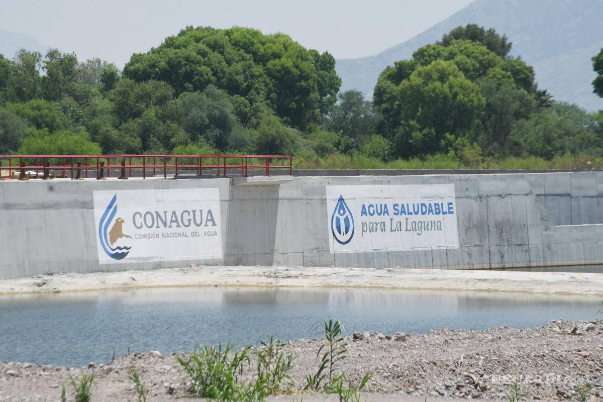 Agua Saludable para La Laguna, un proyecto que sigue sin cuajar