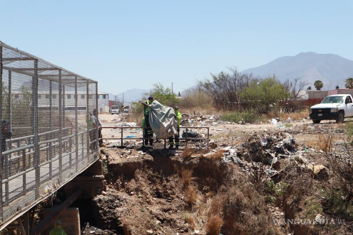 Intensifican limpieza de arroyos, rehabilitación de áreas verdes y mantenimiento vial en Saltillo