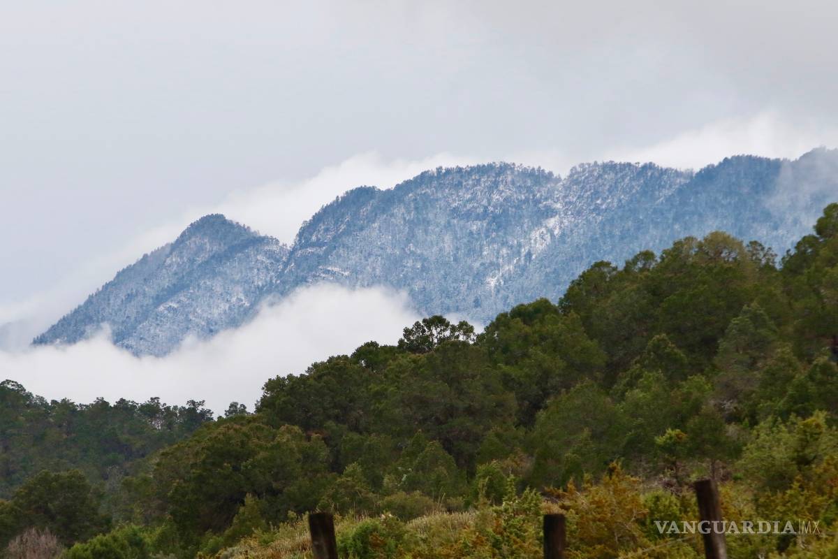 Nevada en la sierra de Arteaga sorprende a los saltillenses