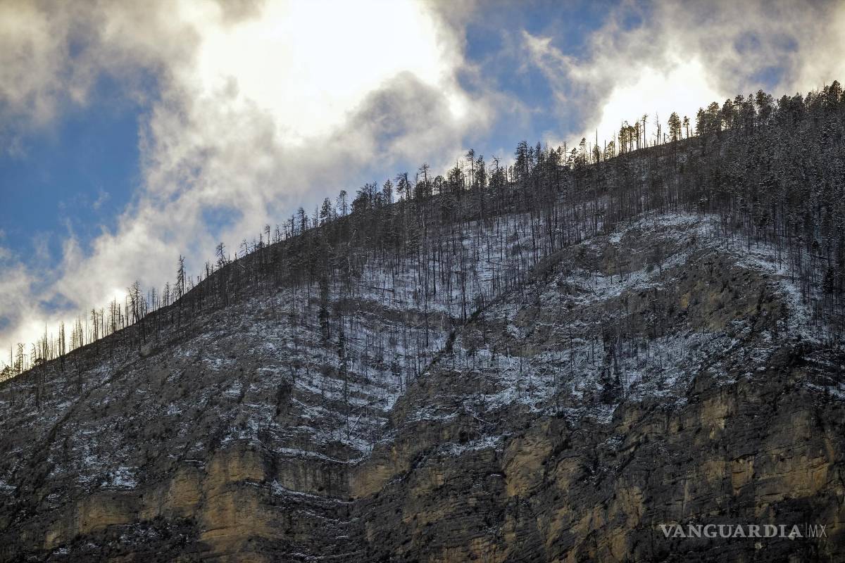 $!En las zonas serranas de la Región Sureste se han dejado sentir algunas heladas con las cuales se han pintado de blanco.