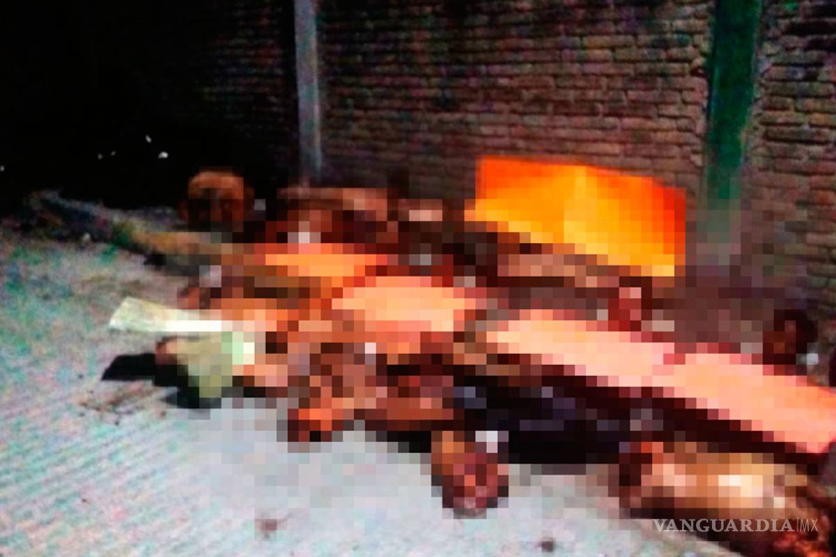 Dejan cuatro cuerpos desmembrados fuera de escuela en Poza Rica, Veracruz