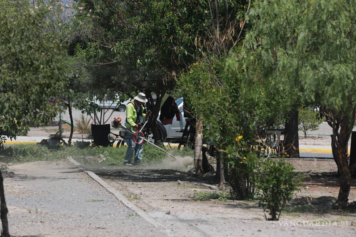 $!Acciones de deshierbe y limpieza en general realizan las brigadas del programa “Aquí andamos”.