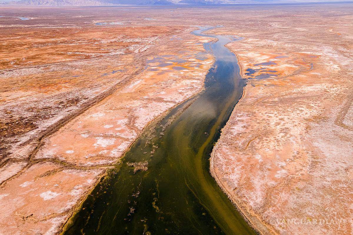 Ante crisis en frontera México-EU: ‘es insostenible destinar 78% de agua al campo’