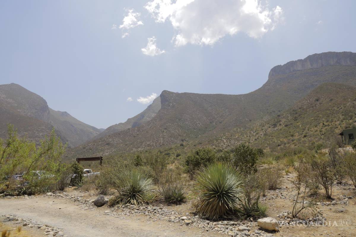 Entrega SMA Coahuila minuta de incendio en Santa Rosa-El Mimbre; sigue evaluación y restauración