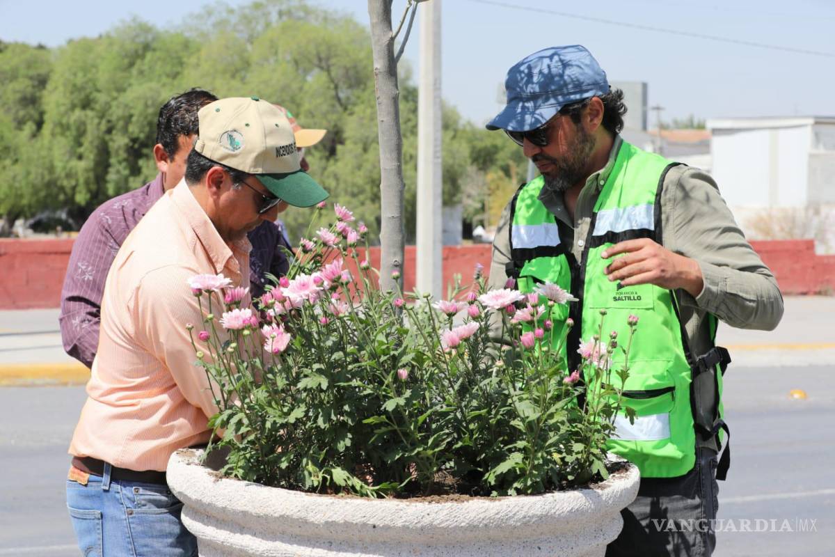 $!Con la instalación de árboles de olivo y plantas polinizadoras, Saltillo busca incentivar la creación de espacios verdes y la protección de la biodiversidad.
