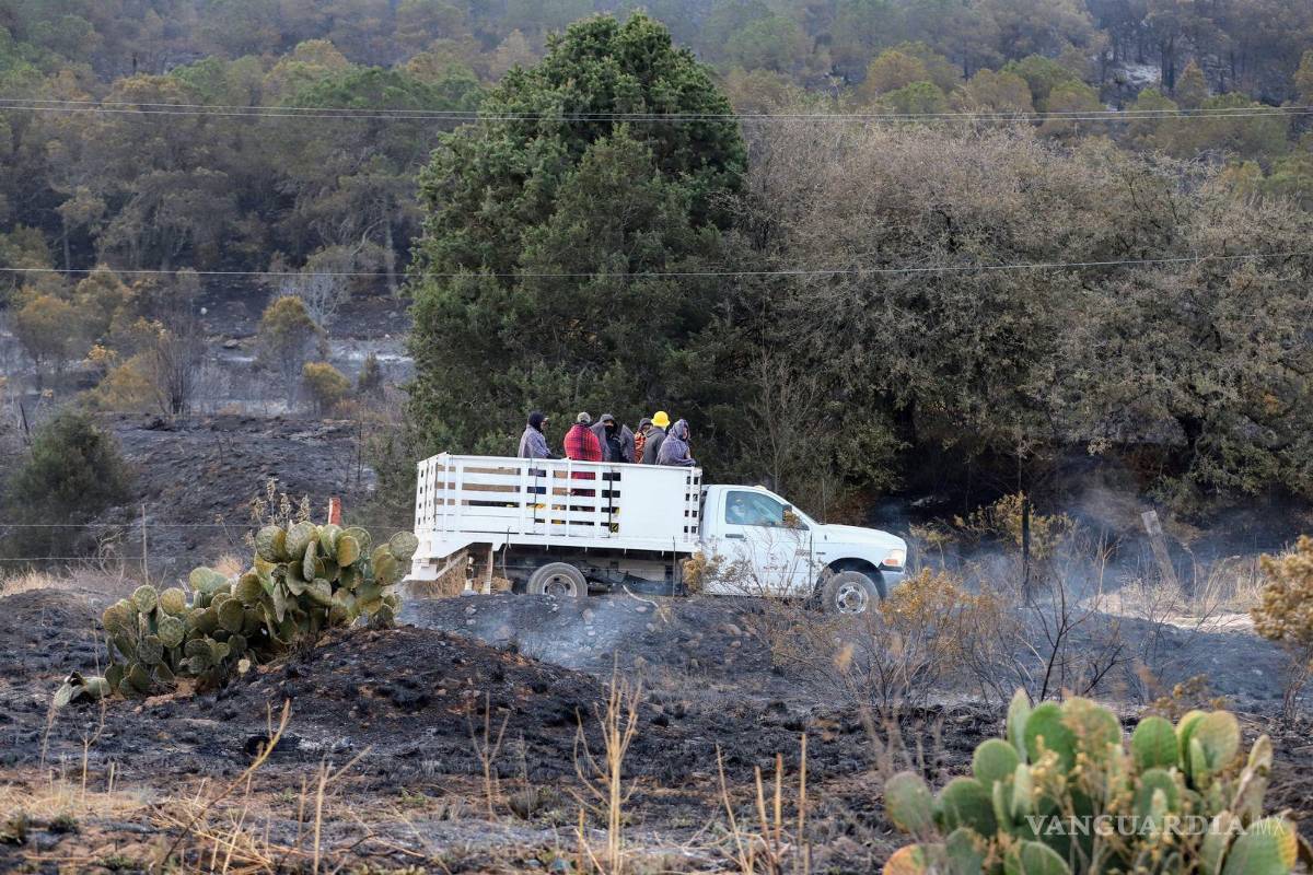 $!Ejidatarios y voluntarios se suman a las labores para extinguir el fuego en Arteaga.