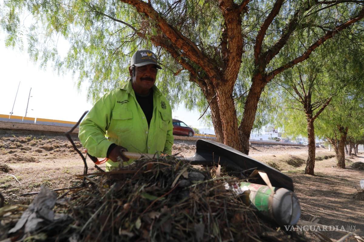 $!Labores de limpieza y deshiebre se llevaron a cabo en las áreas verdes del bulevar Los Valdez.