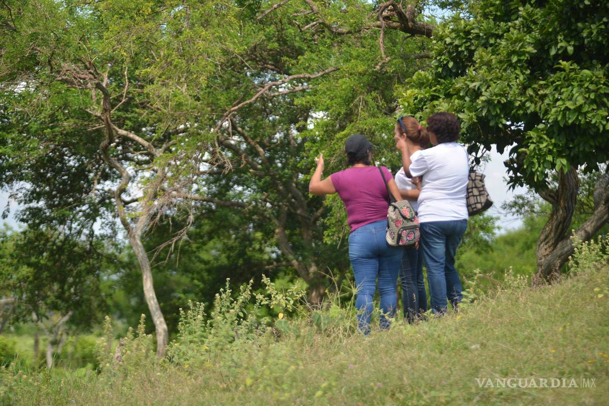 $!PGR no cuenta con datos reales de cuerpos en fosas