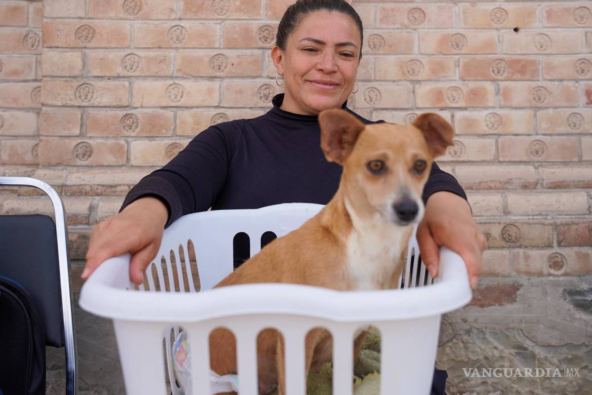$!Se efectuaron 31 esterilizaciones y se aplicaron 33 vacunas antirrábicas, beneficiando a familias de distintos sectores.