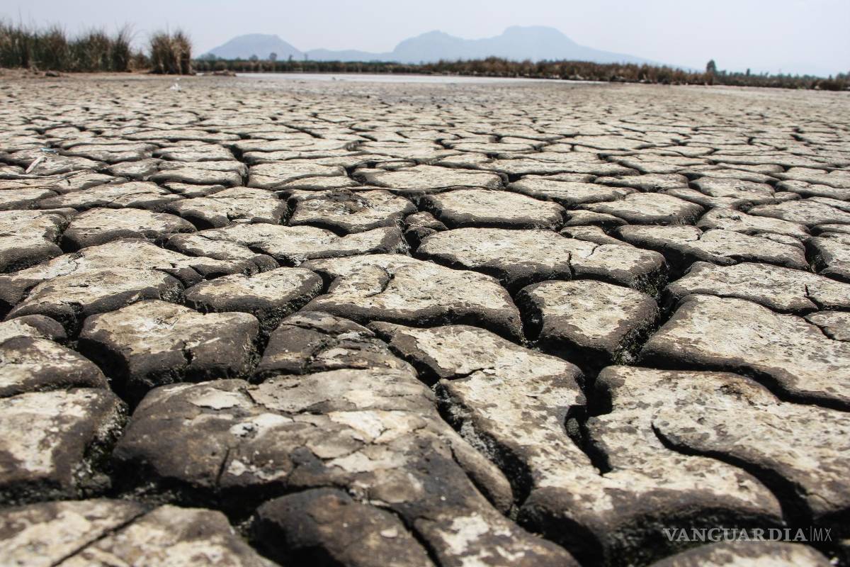 Amenaza sequía con desabasto de agua en estados del norte