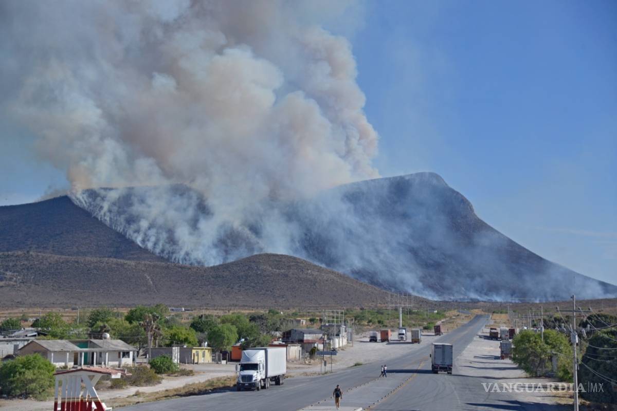 Para evitar incendios, piden a CFE dar mantenimiento a sus instalaciones en zonas boscosas de Coahuila