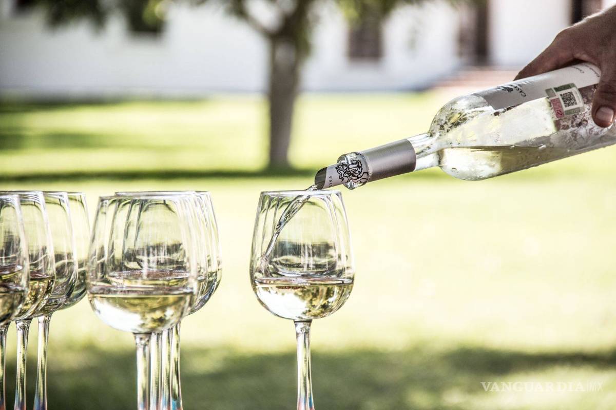 Casa Madero y Viñedos Don Leo, de Coahuila, fueron reconocidos en el Concours Mondial de Bruxelles 2019