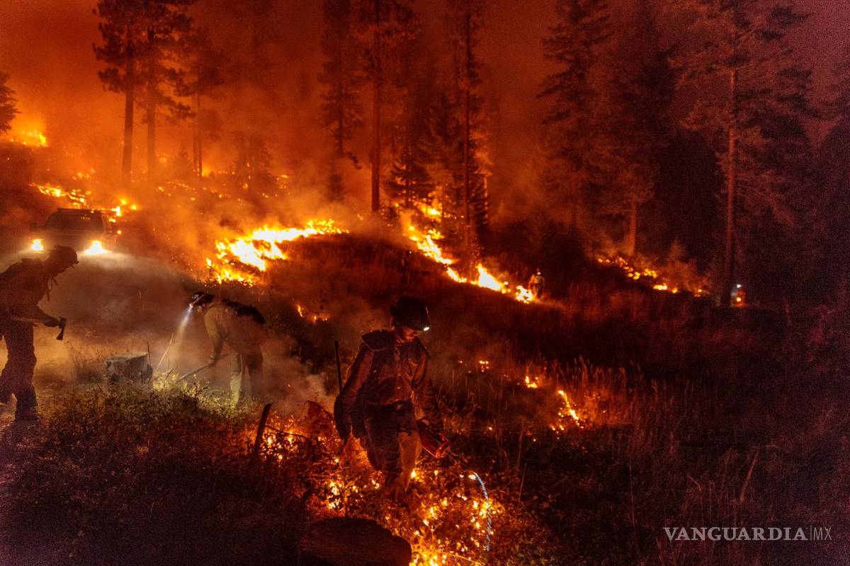 $!Las 10 fotos más espectaculares de National Geographic