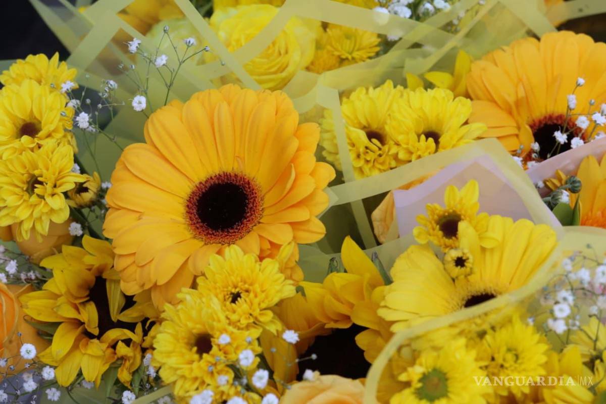 $!En Floricienta, las flores amarillas se vinculan con la llegada de la primavera en septiembre.