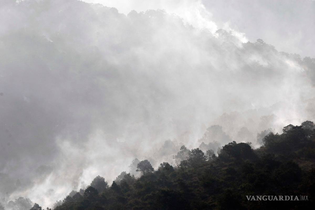 $!Control del 70 al 90% de incendios forestales en Región Sureste de Coahuila