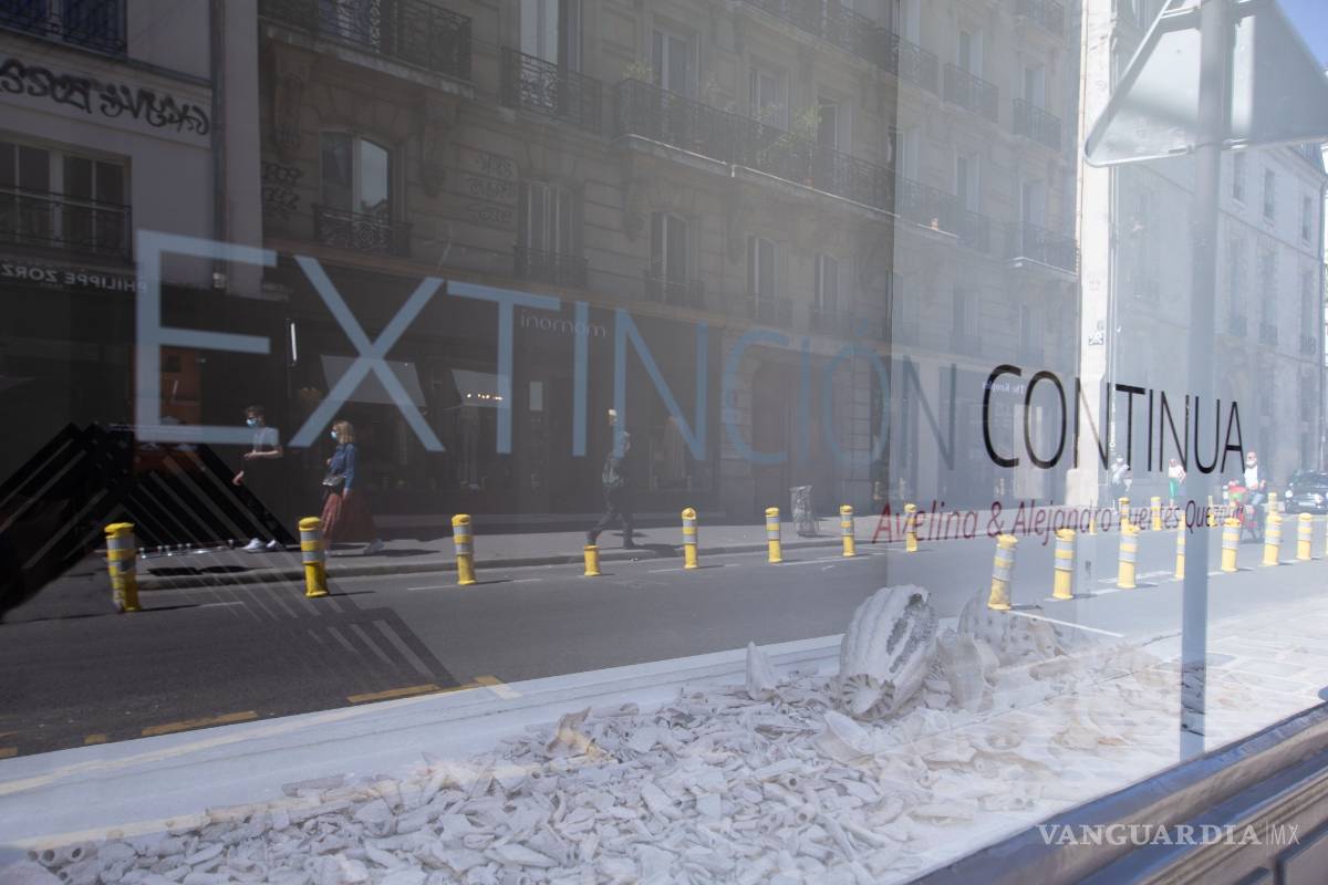 ‘Extinción continua’: Avelina y Alejandro Fuentes Quezada exponen en Francia