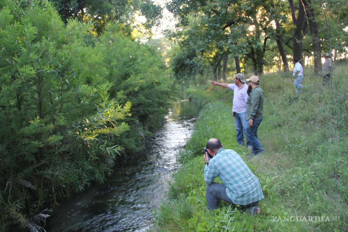 Aportación de Coahuila a la Zoología: Descubren nuevo caracol y 2 especies