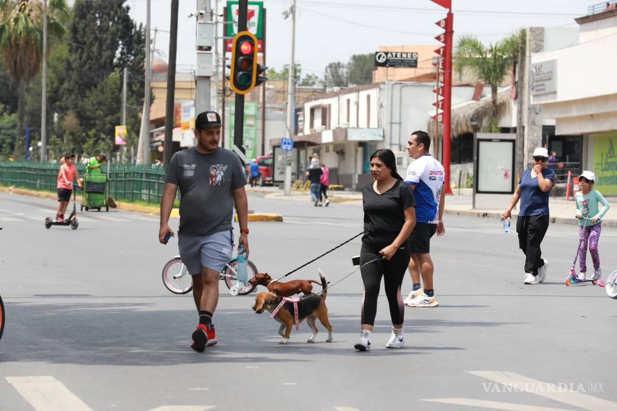 $!Familias enteras disfrutaron de la Ruta Recreativa, recorriendo los tramos a pie, en bicicleta o con sus mascotas.