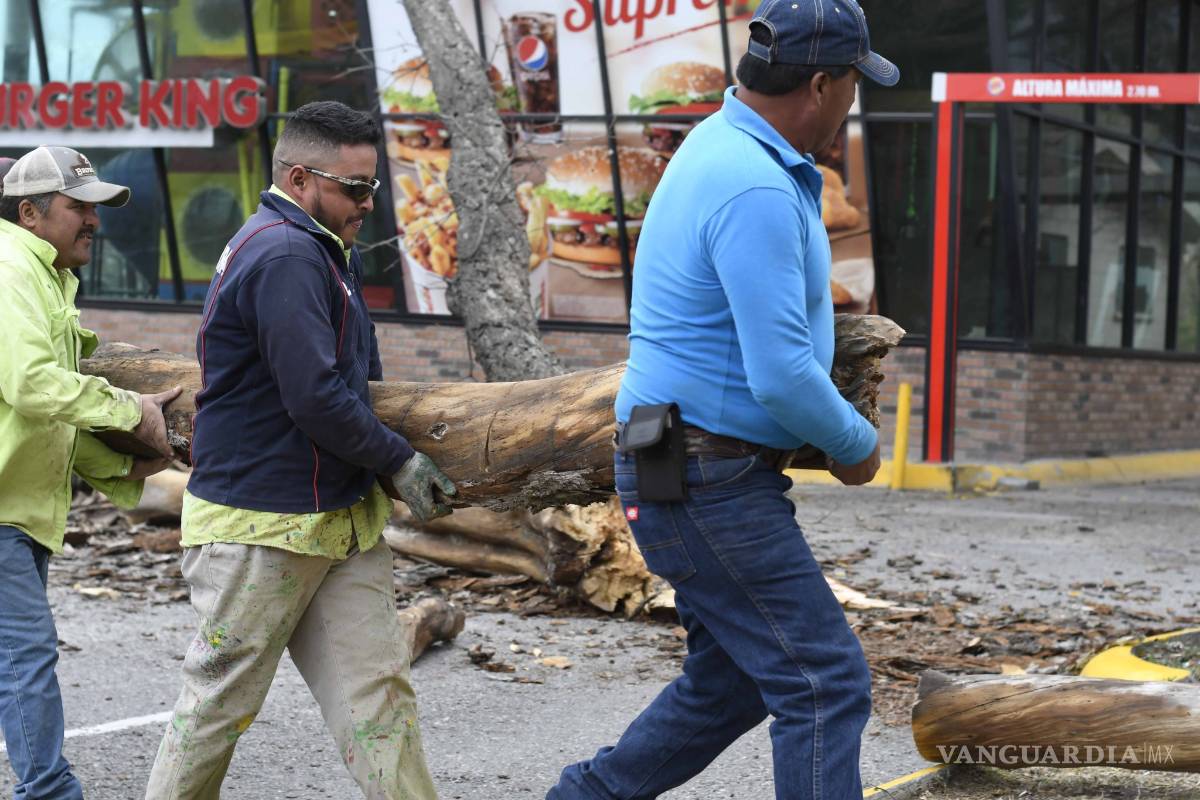$!Árbol cae sobre restaurante en plaza comercial de Saltillo