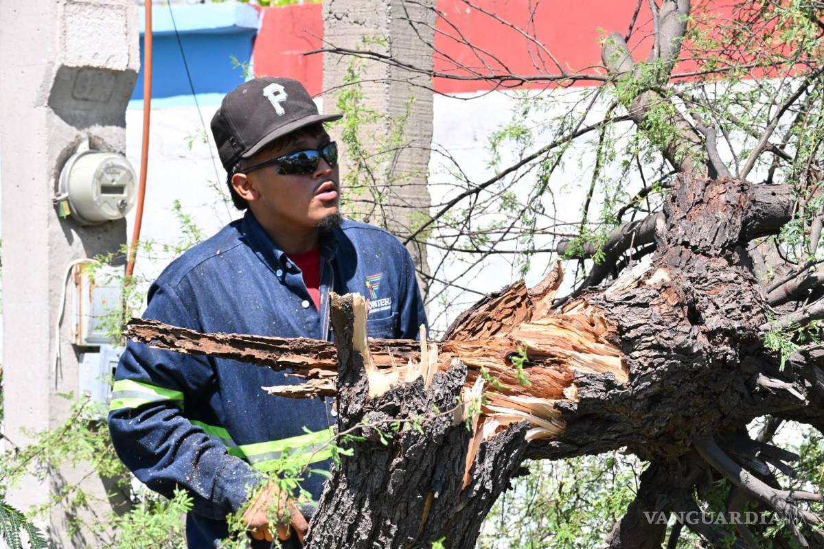 $!La alcaldesa giró indicaciones para mantener guardias permanentes y revisiones exhaustivas en zonas vulnerables.