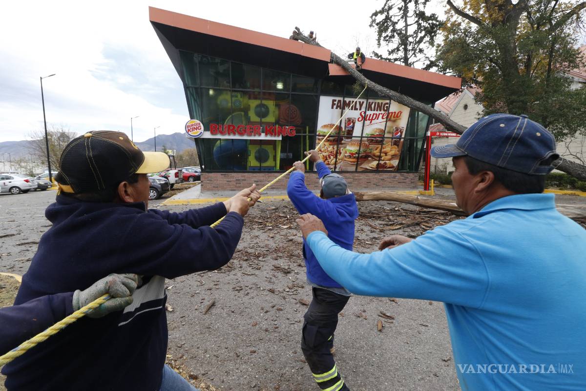 $!Sorprende ventarrón a Saltillo (fotos)