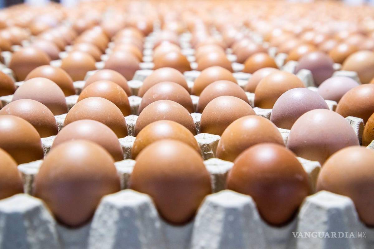 Kilo de huevo ha subido más de 21 pesos en el gobierno de AMLO: monopolio maneja precios a discreción