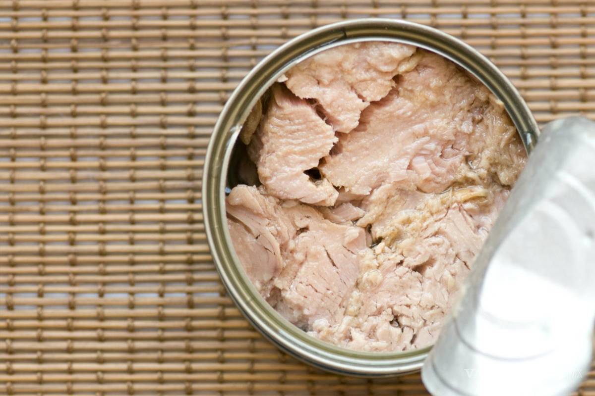 ¿Más soya que atún?... según Profeco estos son los atunes que contienen más soya de la que declaran