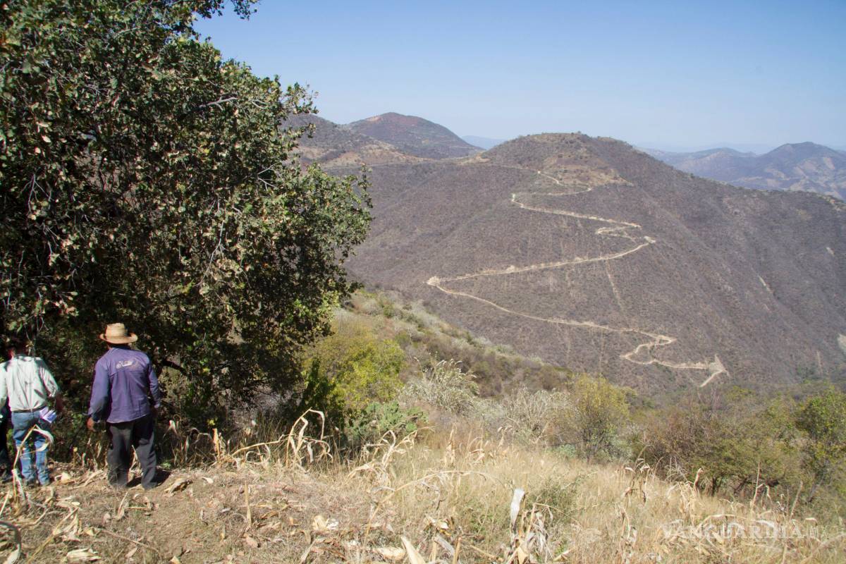 Fortalecerán cultivos en zonas rurales de CDMX