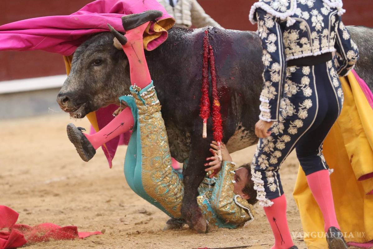 $!El novillero Arturo Gilio sufre una cogida de su segundo toro este lunes, durante la primera novillada de la Feria San Isidro 2022 en la Plaza de Las Ventas de Madrid.