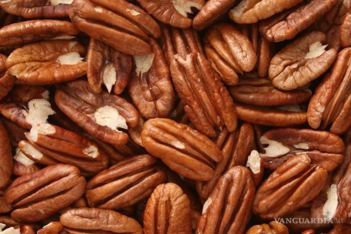 Registra un desplome de hasta el 80 por ciento la producción de nuez en Coahuila