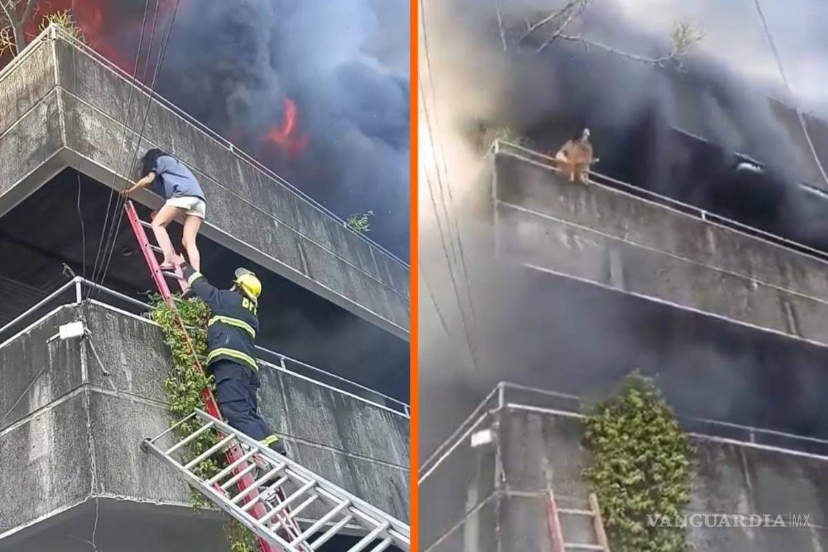 Mujer arriesga su vida para salvar a sus perros de un voraz incendio