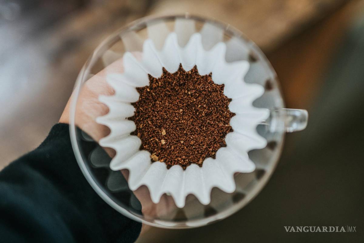 $!El olor del café fresco puede actuar como un repelente natural para algunos animales.