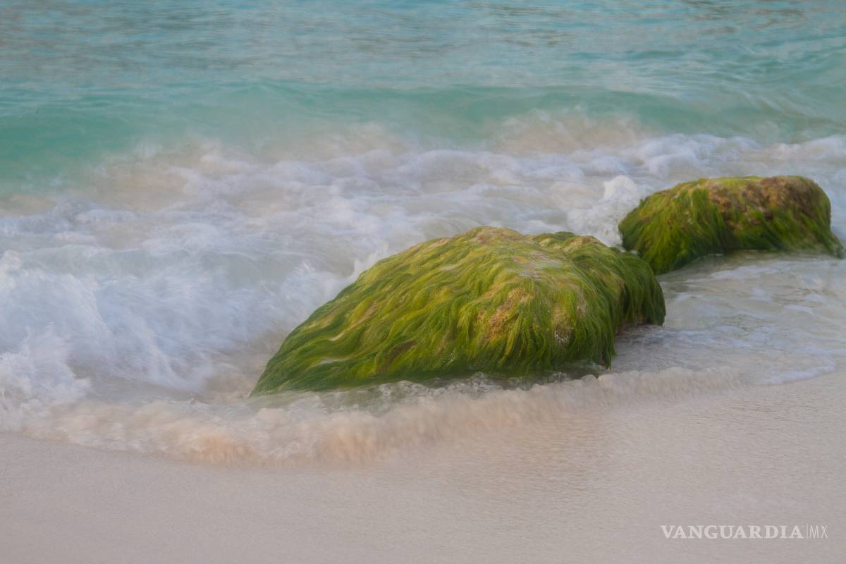 Fotografía con tu teléfono celular Parte 3