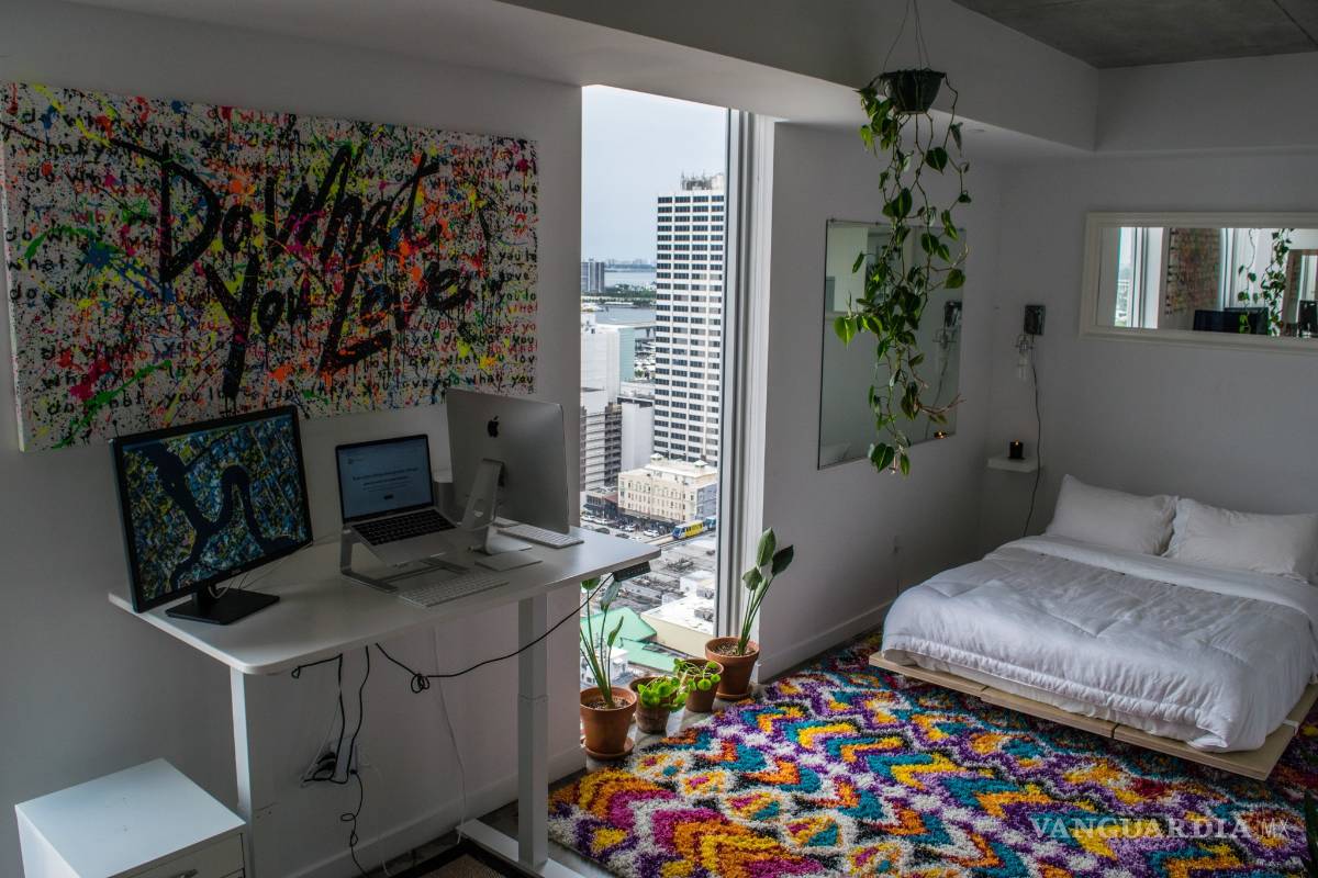 $!¡Duraderas y fáciles de cuidar! Las mejores plantas para decorar el baño, la cocina y hasta la recámara