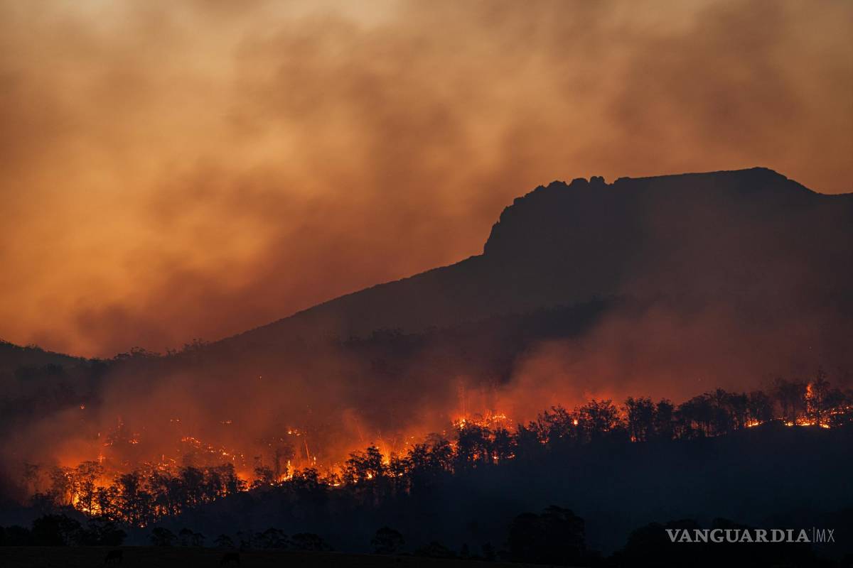 Registran 64 muertos y 370 desparecidos por incendios forestales en Chile; cifras continúan en aumento
